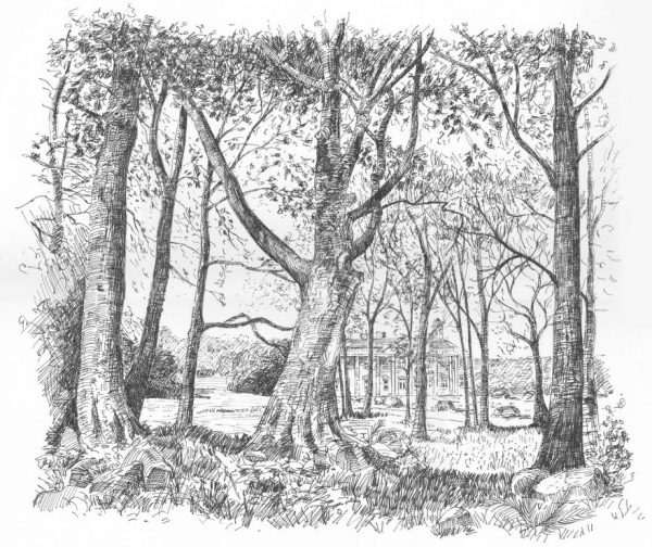 Wortley Hall Through the Trees