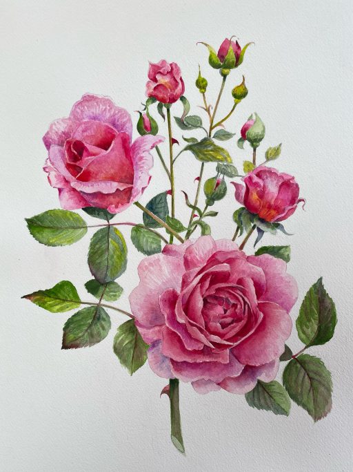 Botanical and Floral