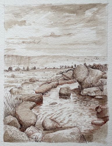 Rock Pool