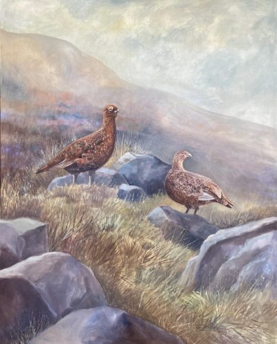 Red Grouse